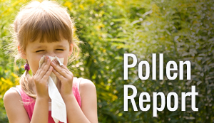 Pollen Report