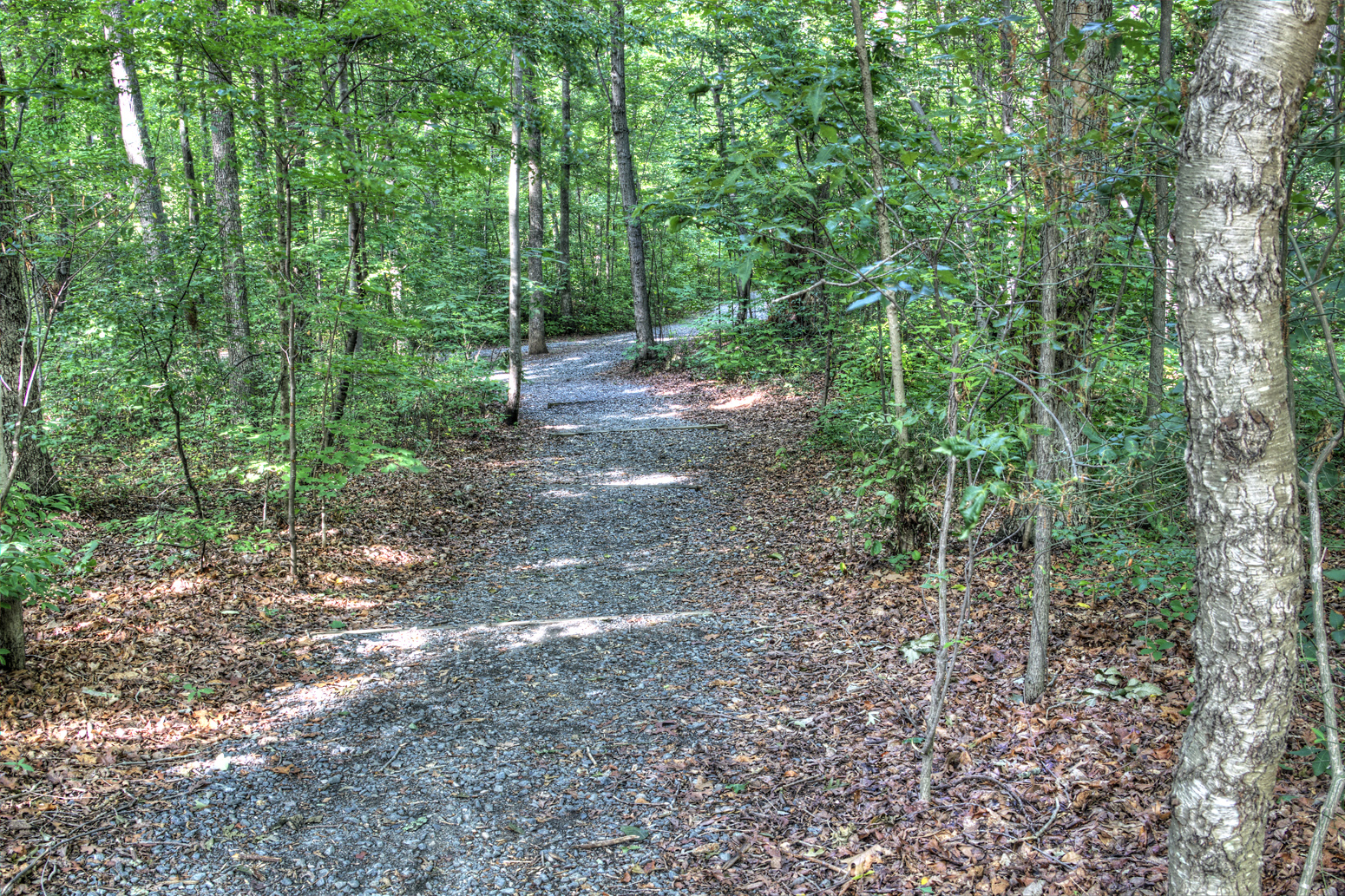 Walkertown Community Park