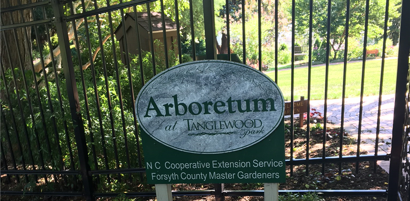 Guided Tours at Arboretum at Tanglewood Park