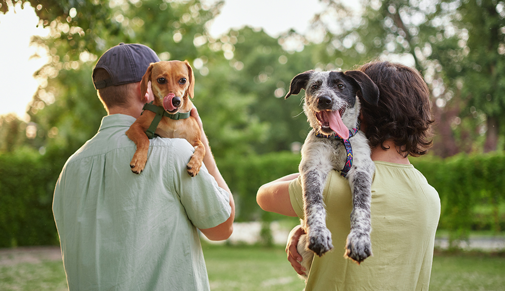 Two people holding dogs